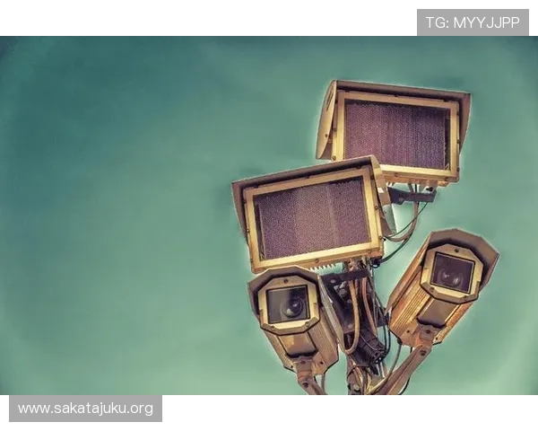 王子娱乐平台：安全保障措施与用户隐私保护详解