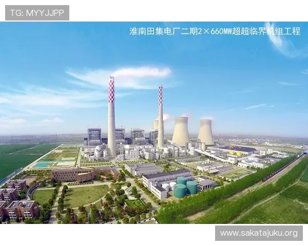 bg真人怎么看走势：专家深度解析当前市场变化与投资建议